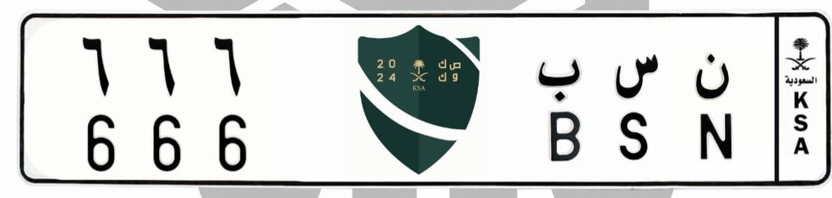لوحة ن س ب 666
